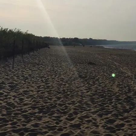 Komfortowy Nord 61 *