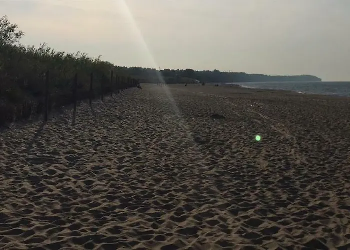 Komfortowy Nord 61 *